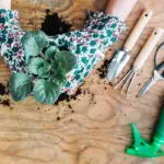 upcycled socks plant watering indoor czech home