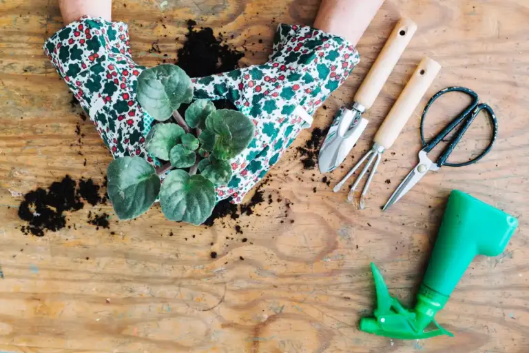 upcycled socks plant watering indoor czech home