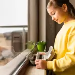 coffee grounds rescue dying houseplant czech home