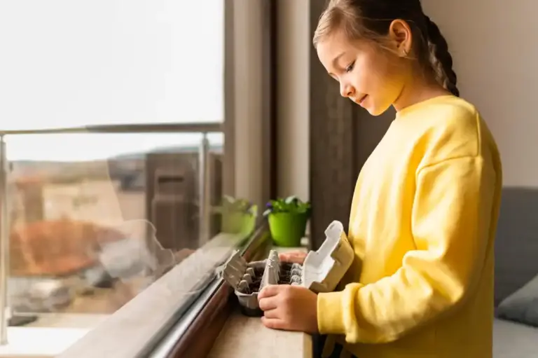 coffee grounds rescue dying houseplant czech home