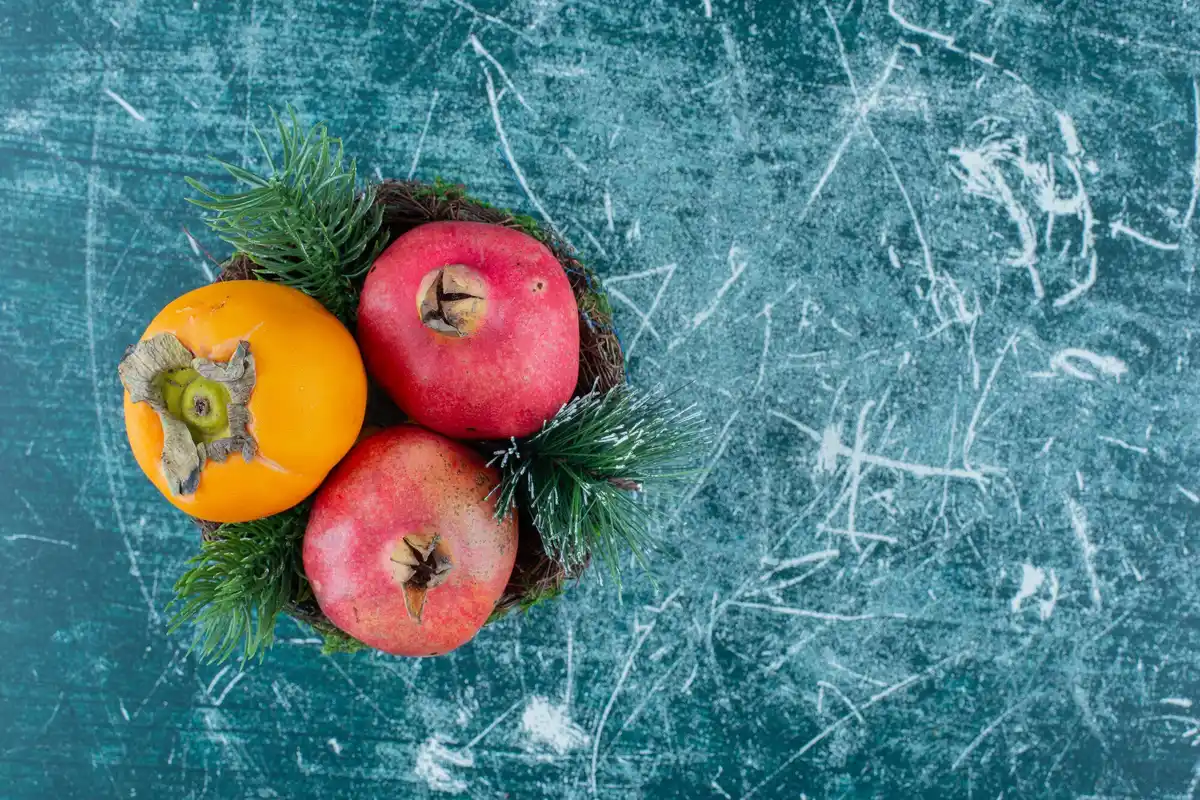 Czech apple orchard winter Liberty Rubinola frost