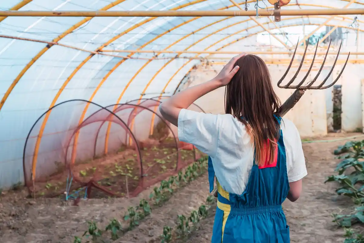 winter greenhouse maintenance czech europe
