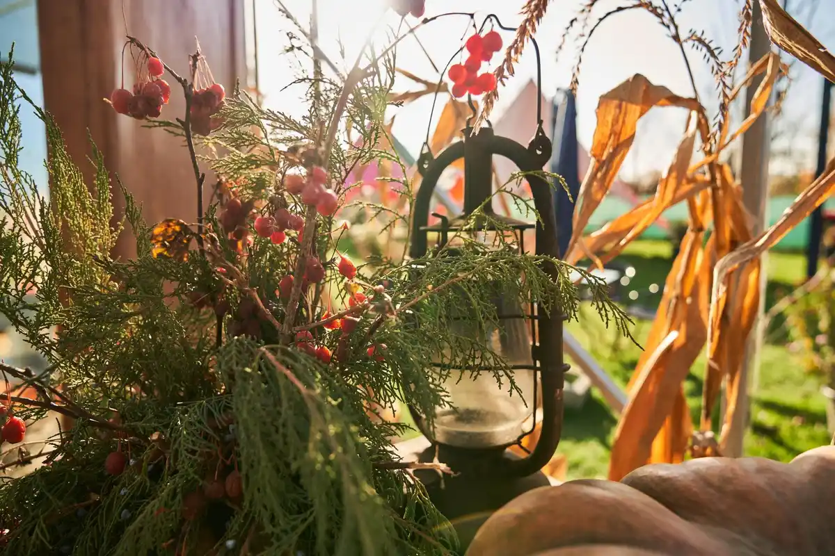 Czech greenhouse in winter detail