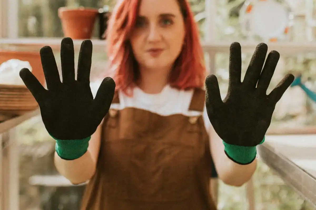 dirty greenhouse cleanup czech
