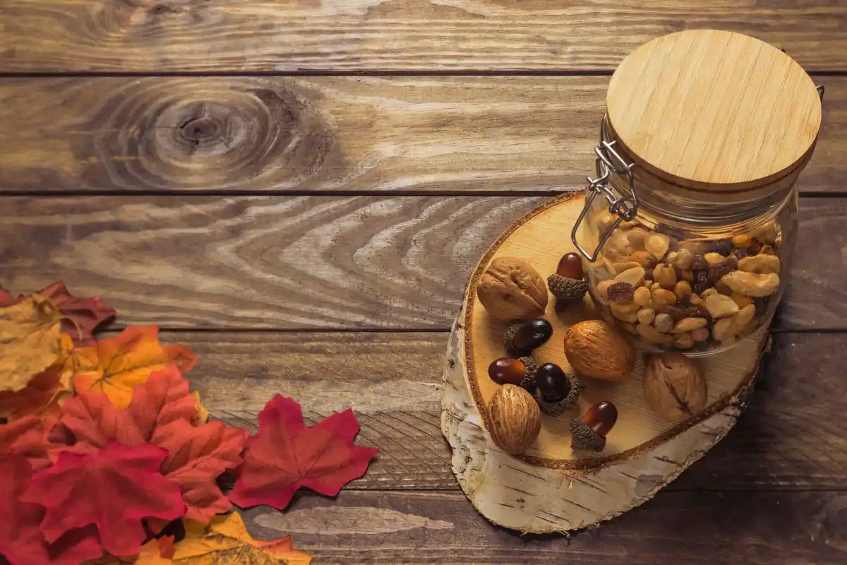 sprouting jar with legumes czech kitchen winter