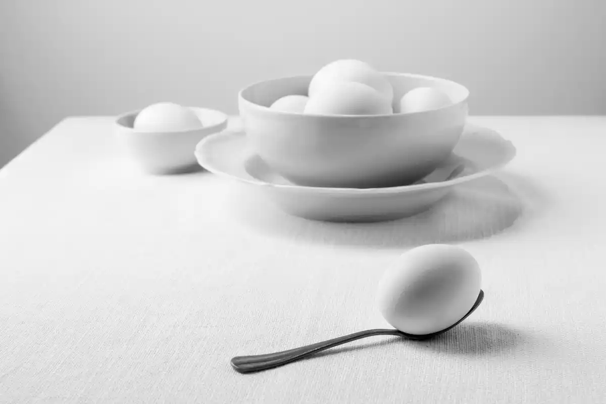 eggshell seed starter creative czech kitchen window