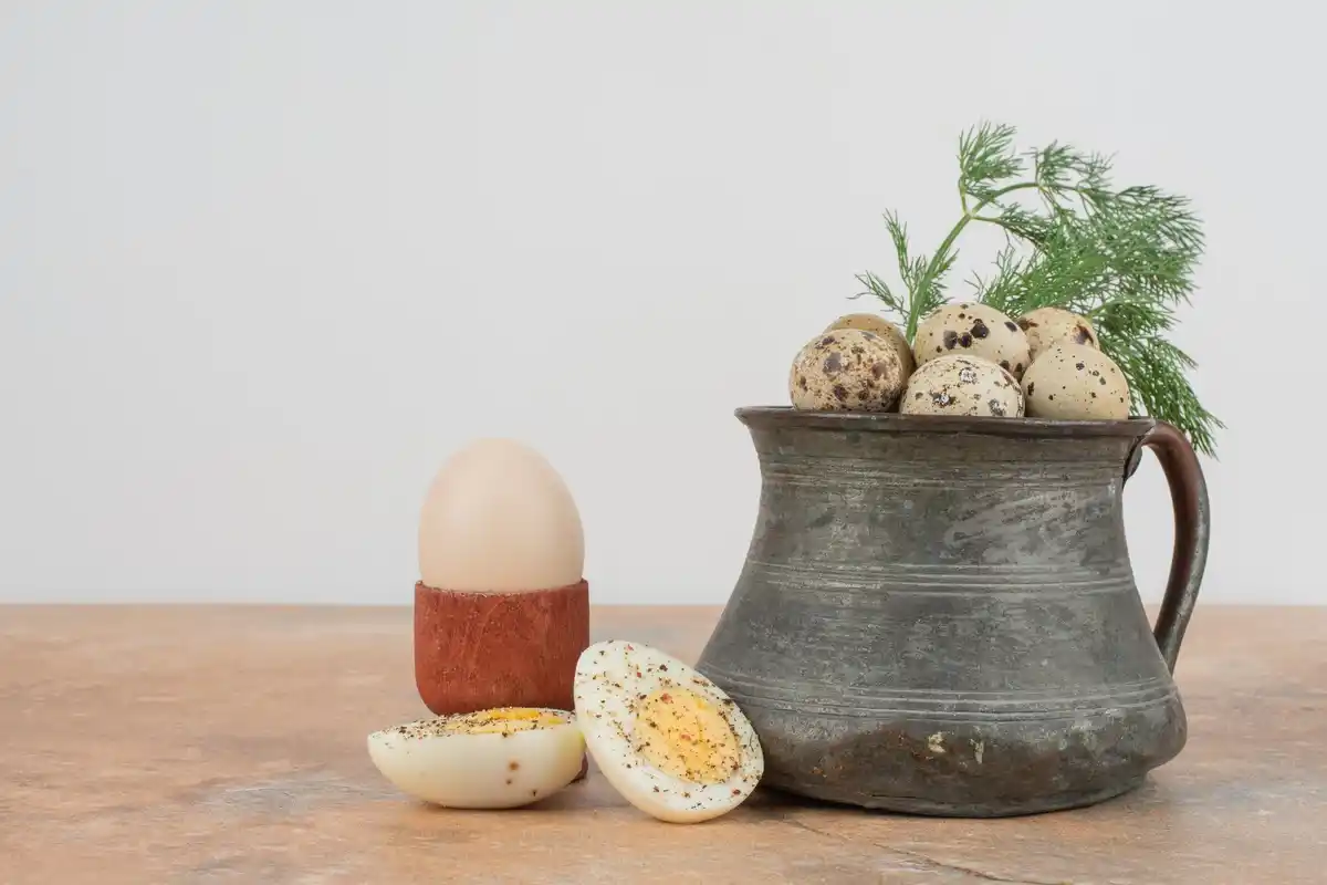 eggshell seed starters on windowsill