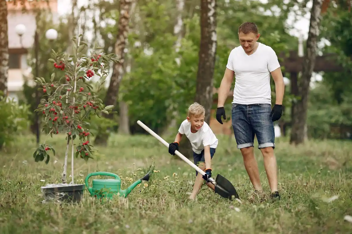 cheap garden shovel czech backyard
