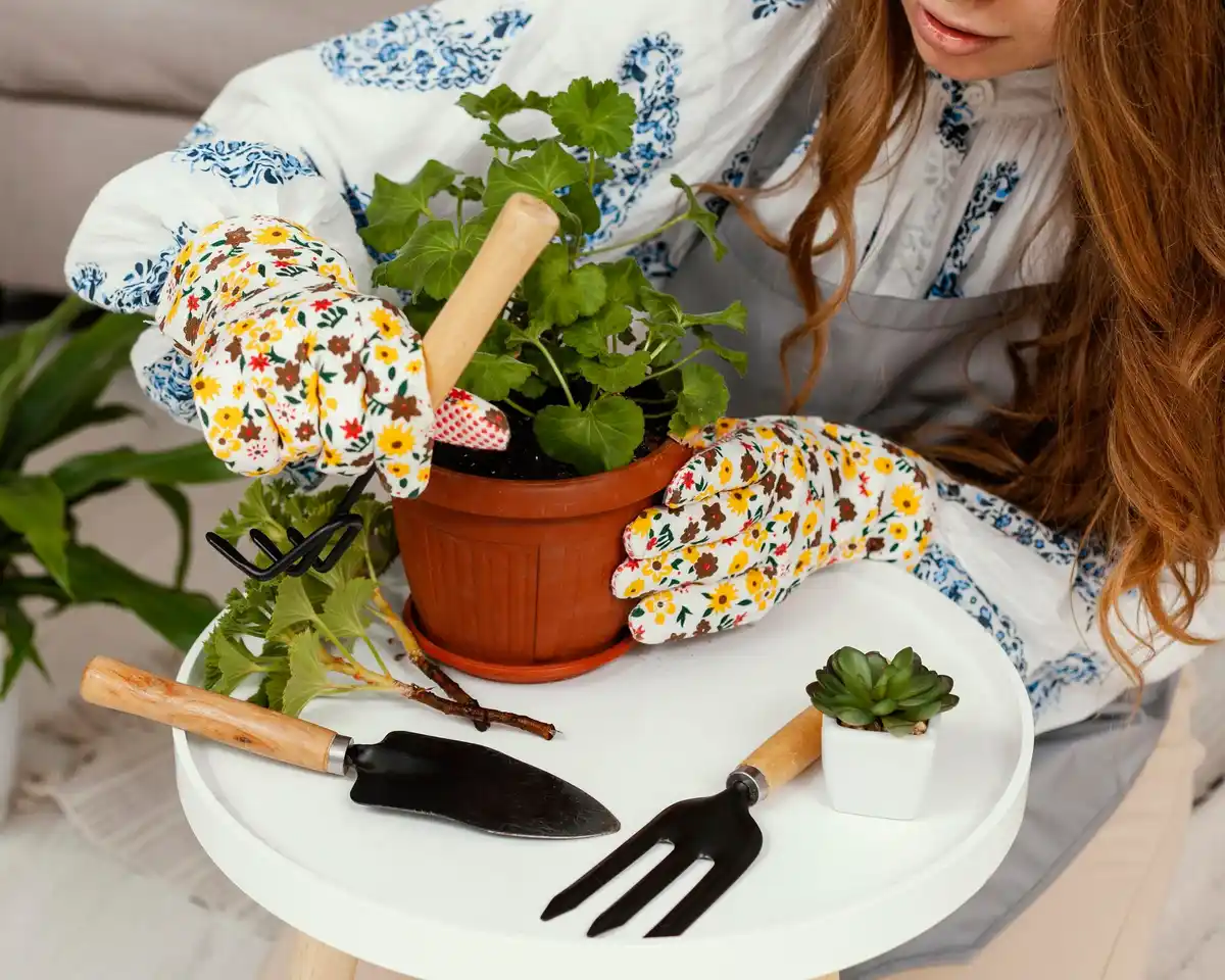 grow herbs on windowsill home kitchen Czech style
