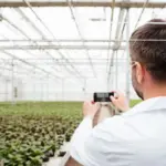 smart greenhouse Czech backyard technology