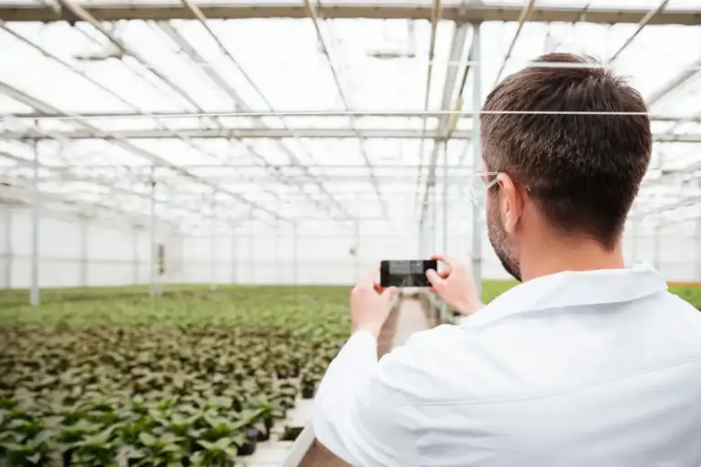 smart greenhouse Czech backyard technology