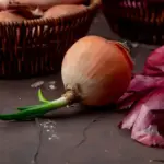 czech garden onion harvest trick wood ash compost