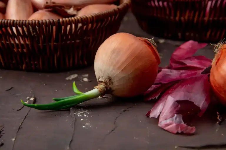 czech garden onion harvest trick wood ash compost