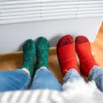 winter houseplants damage dry air radiator window