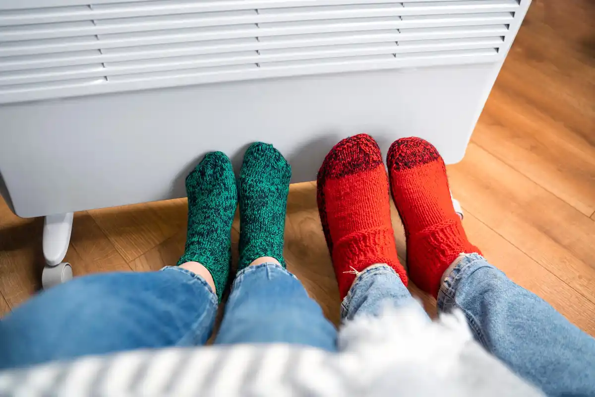 winter houseplants damage dry air radiator window