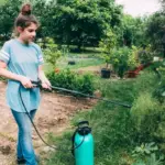 herbicide damage home garden