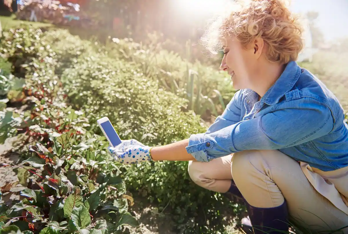 organic natural garden pest control