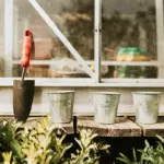 Czech backyard greenhouse location sunlight orientation