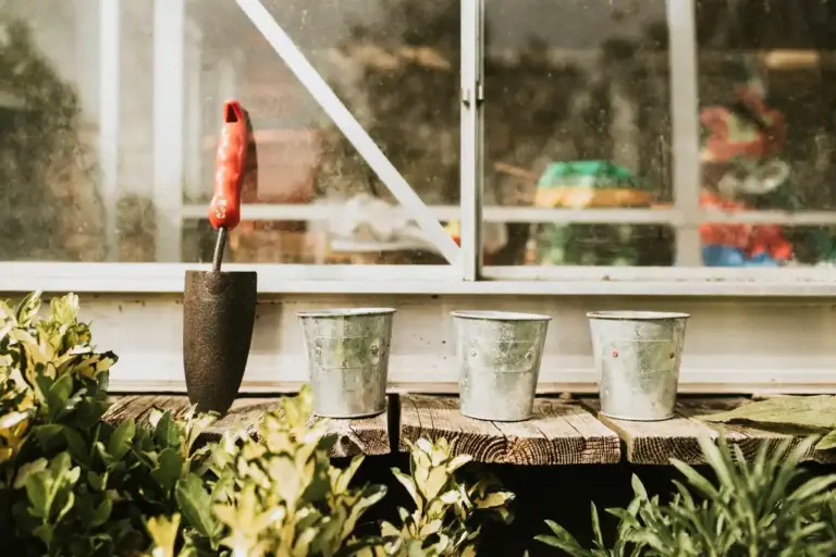 Czech backyard greenhouse location sunlight orientation