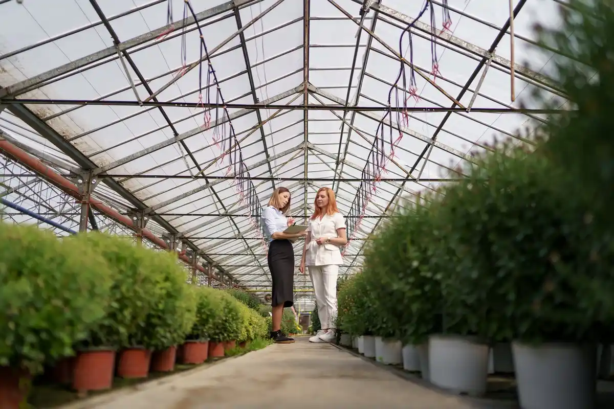 Czech garden greenhouse placement sunlight