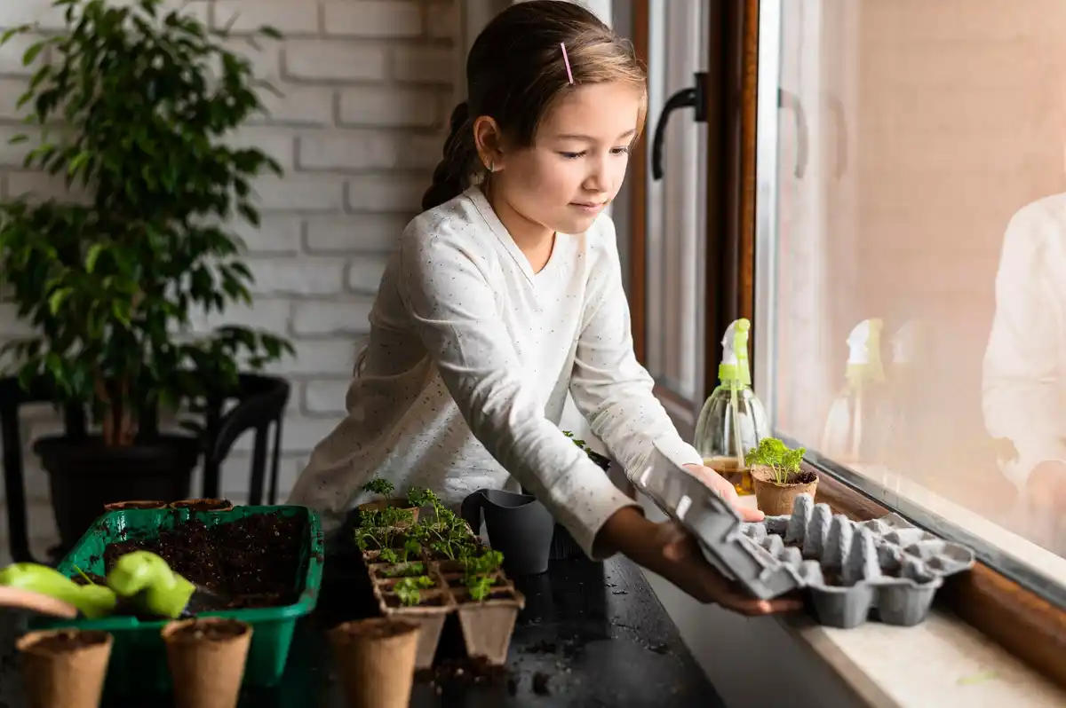 urban balcony pepper plants
