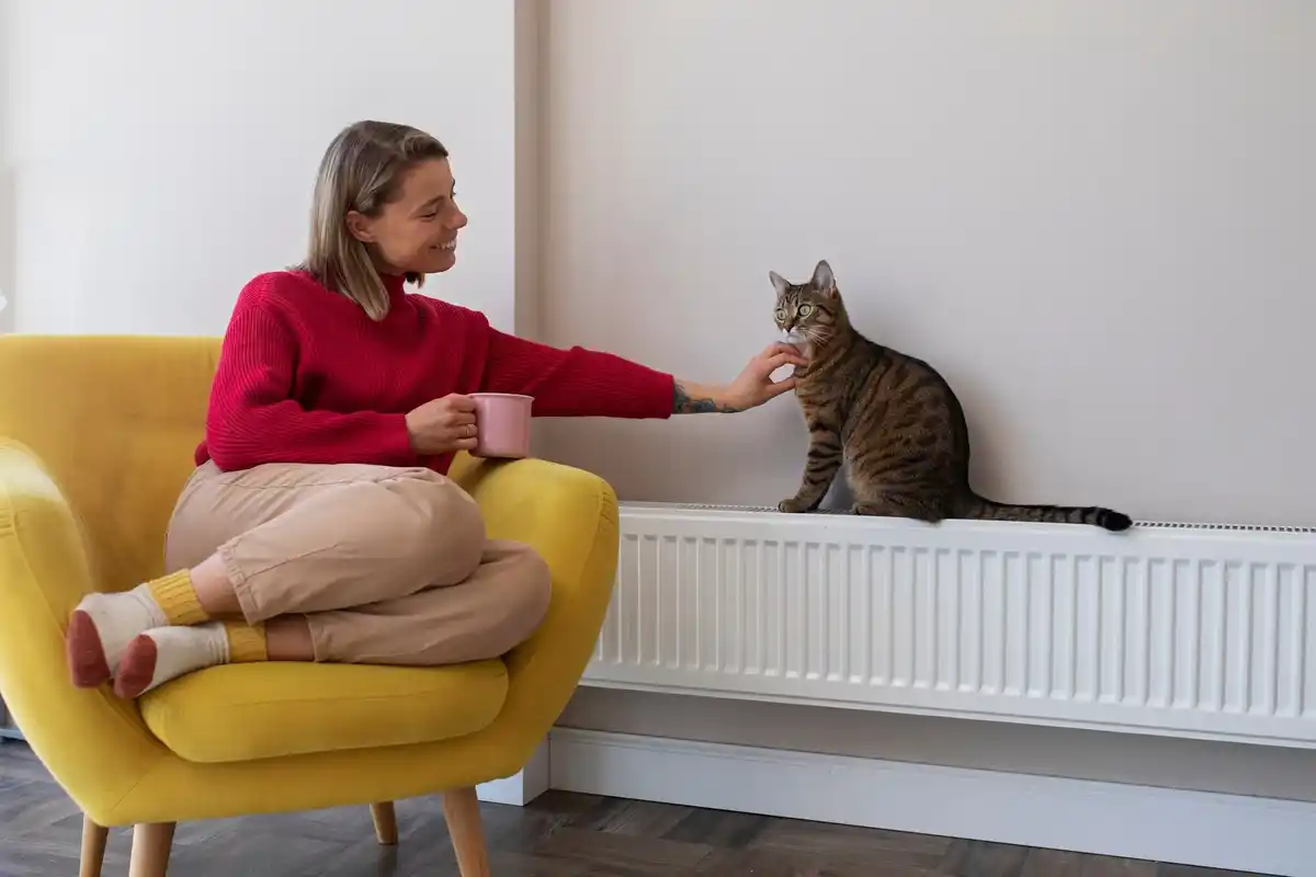 overwatered houseplant by window radiator