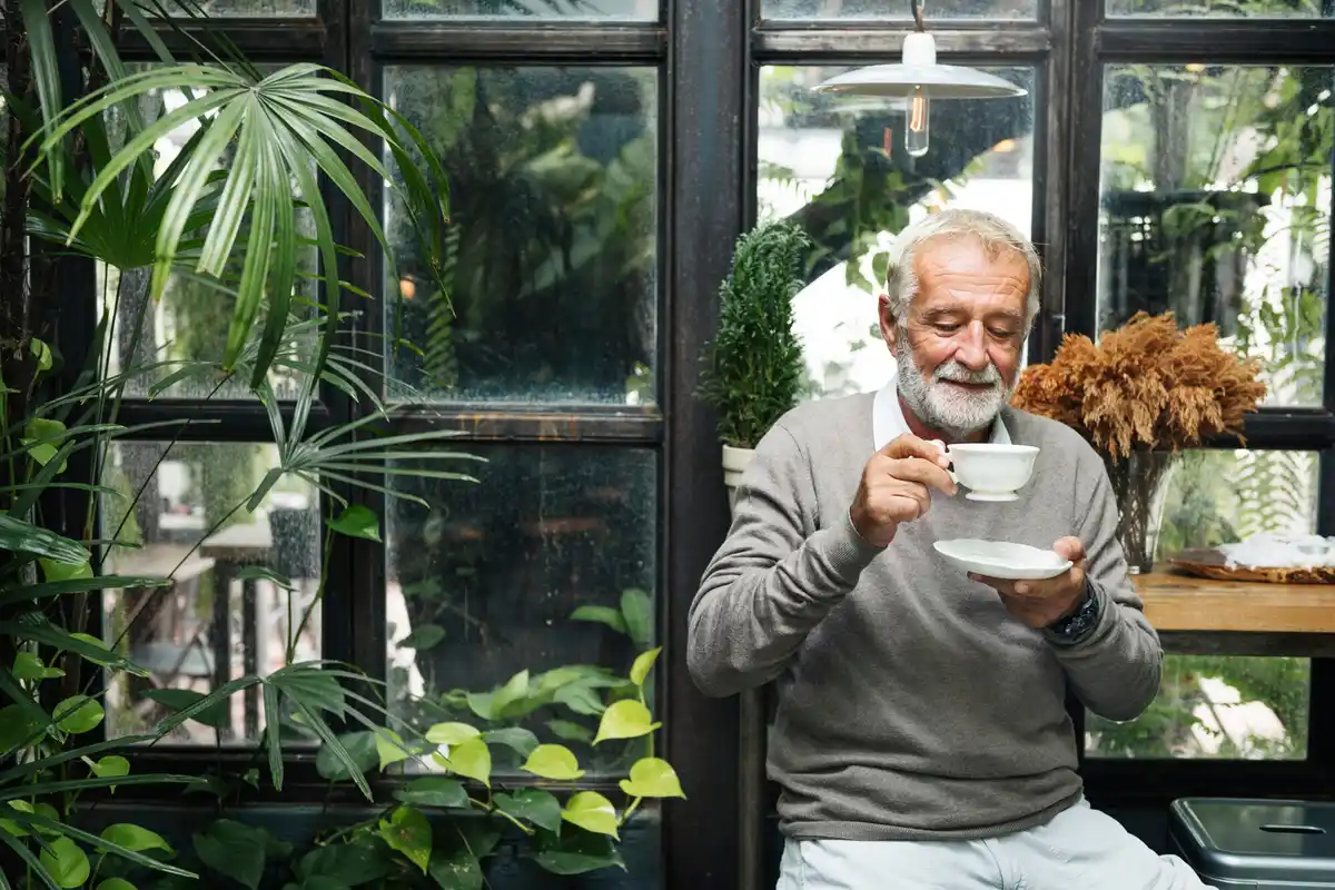 Czech seniors with houseplants sunny window