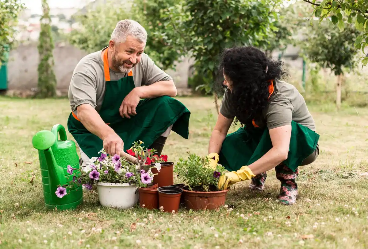 Czech seniors gardening flowers