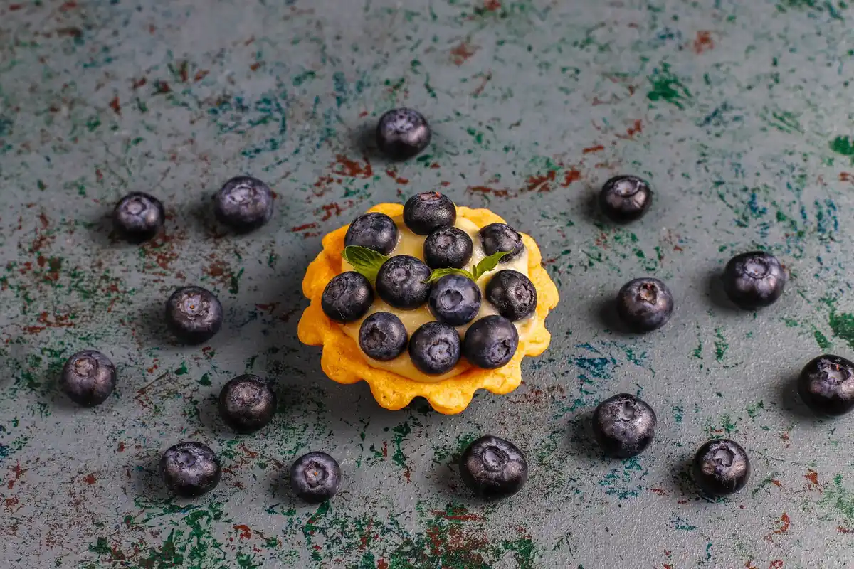 czech blueberry bush closeup acidic soil