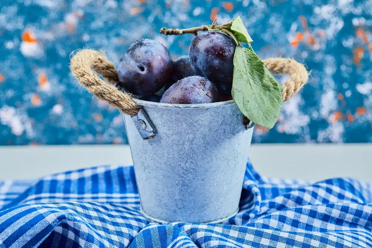 homemade acidic soil preparation blueberries garden