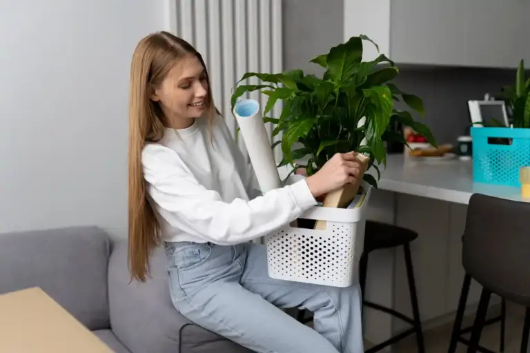 beginner friendly indoor houseplants living room
