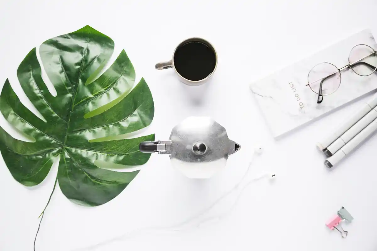 epipremnum pothos plant stylish workspace