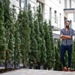 vertical garden small space urban Czech city