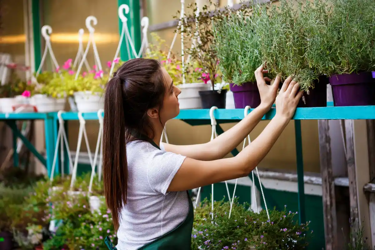 urban vertical gardening in Prague