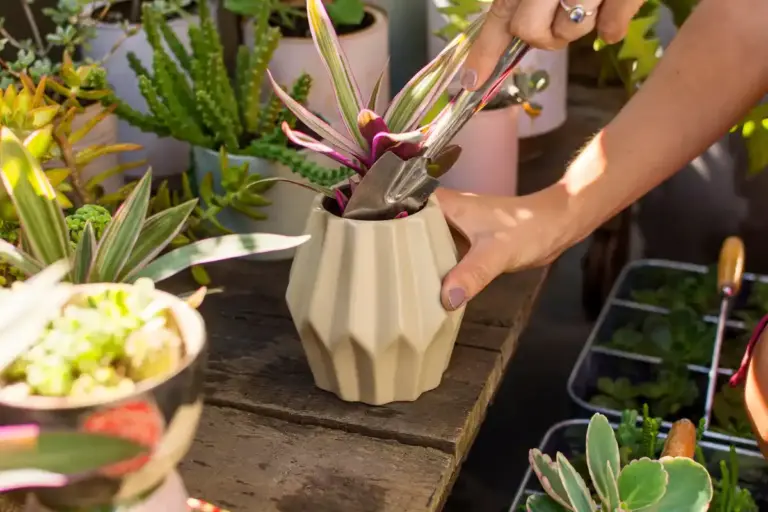 sharpening garden pruners with ceramic mug