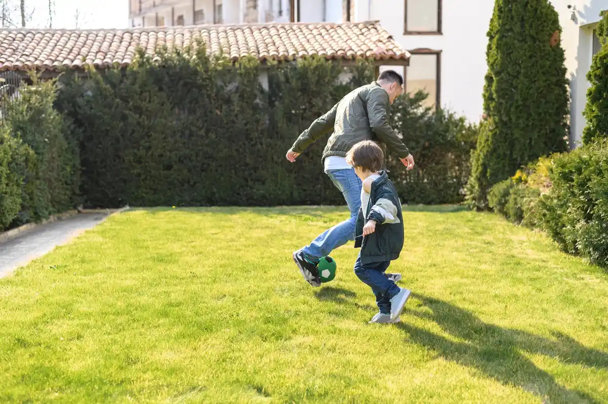 lawn fertilizer uneven application Czech garden