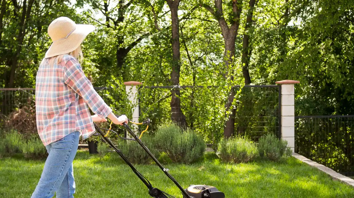 garden spreader czech lawn grass