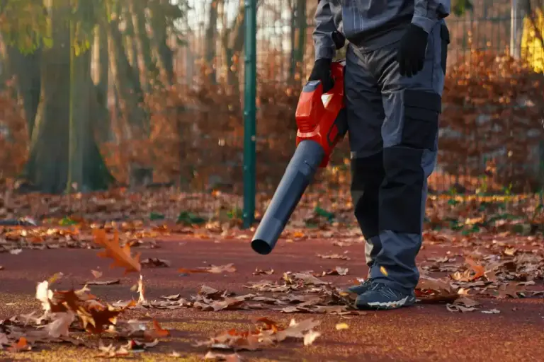 autumn lawn seeding in Czech Republic