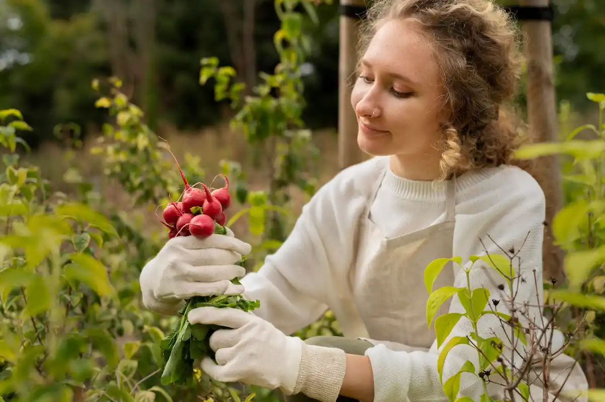 alternative fruit trees Czech garden climate change