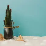 cactus on bedroom nightstand modern home interior