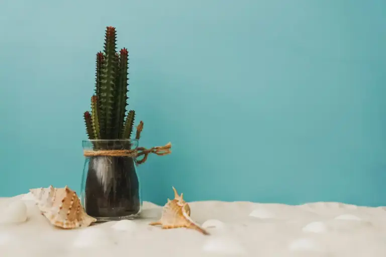 cactus on bedroom nightstand modern home interior