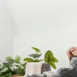 houseplants winter slow growth cozy Czech home