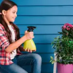houseplant early signs dying before pests