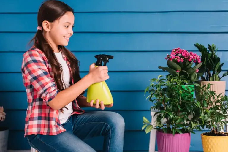 houseplant early signs dying before pests