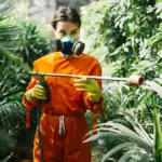 coffee grounds pest control in czech home gardens