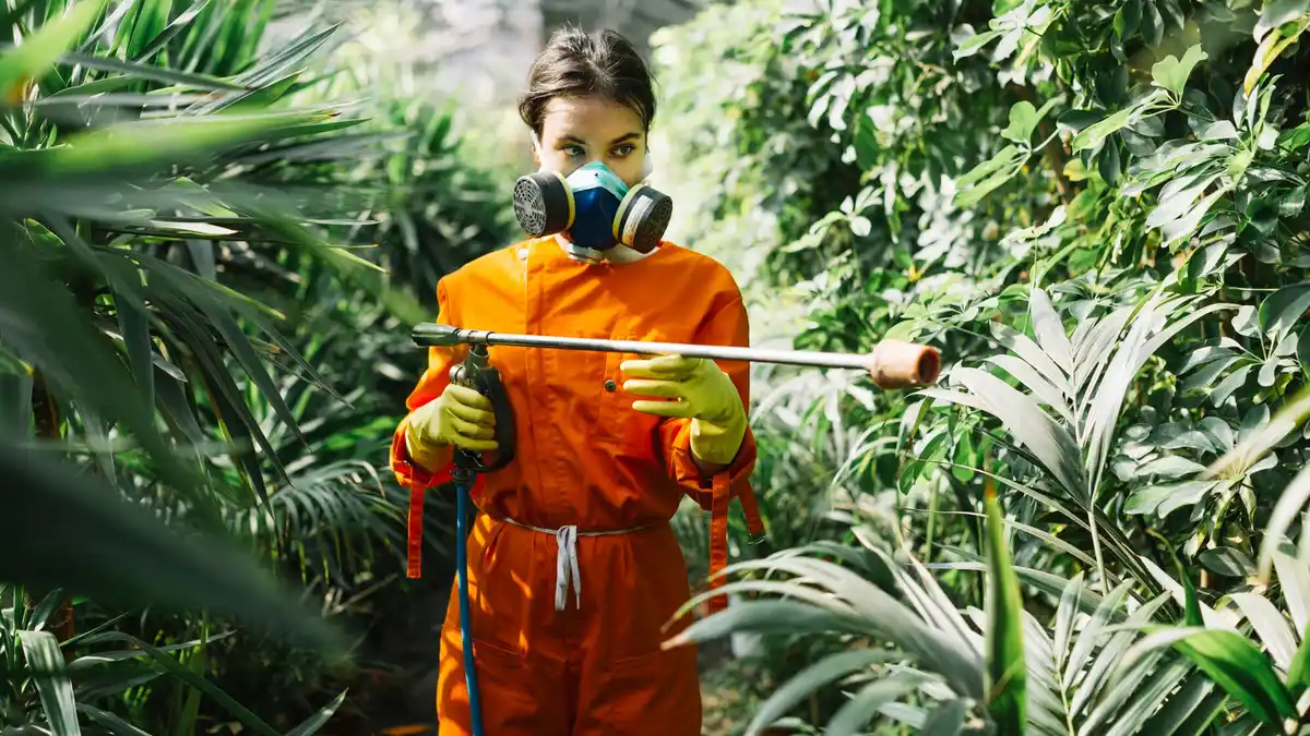 coffee grounds pest control in czech home gardens