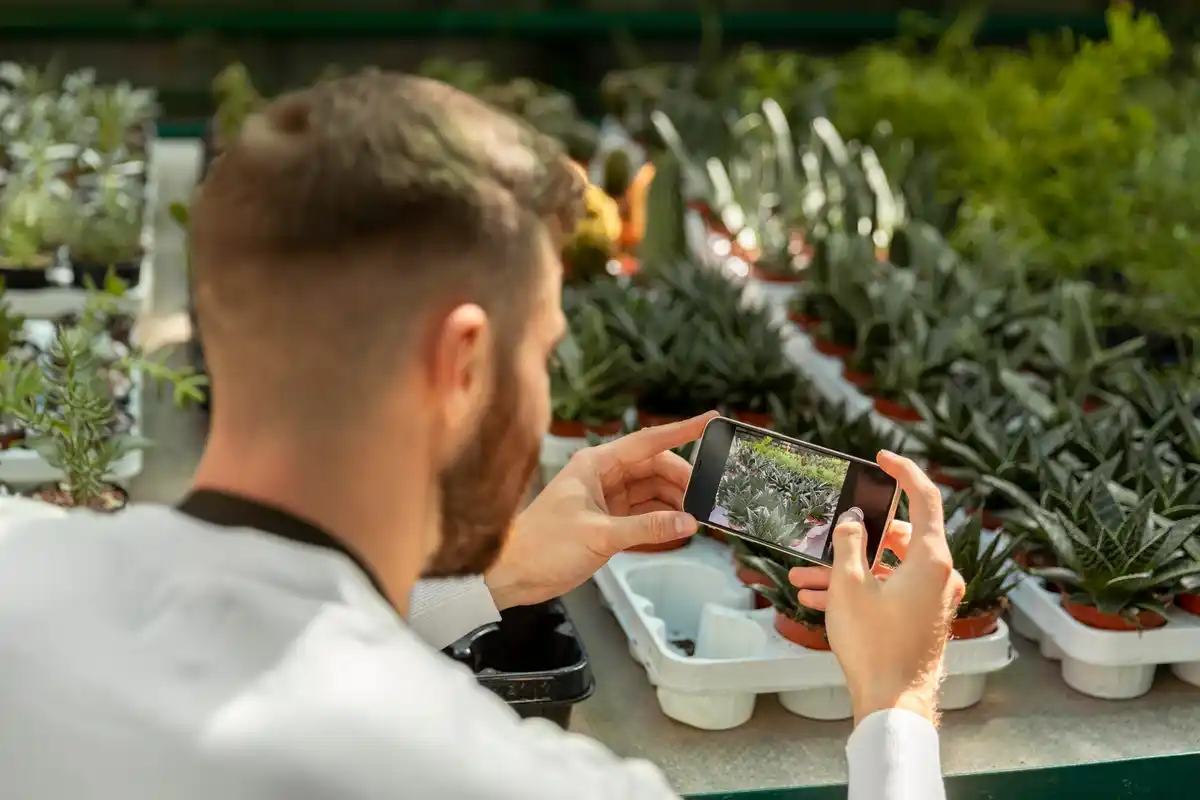 intelligent greenhouse in czech garden smartphone app