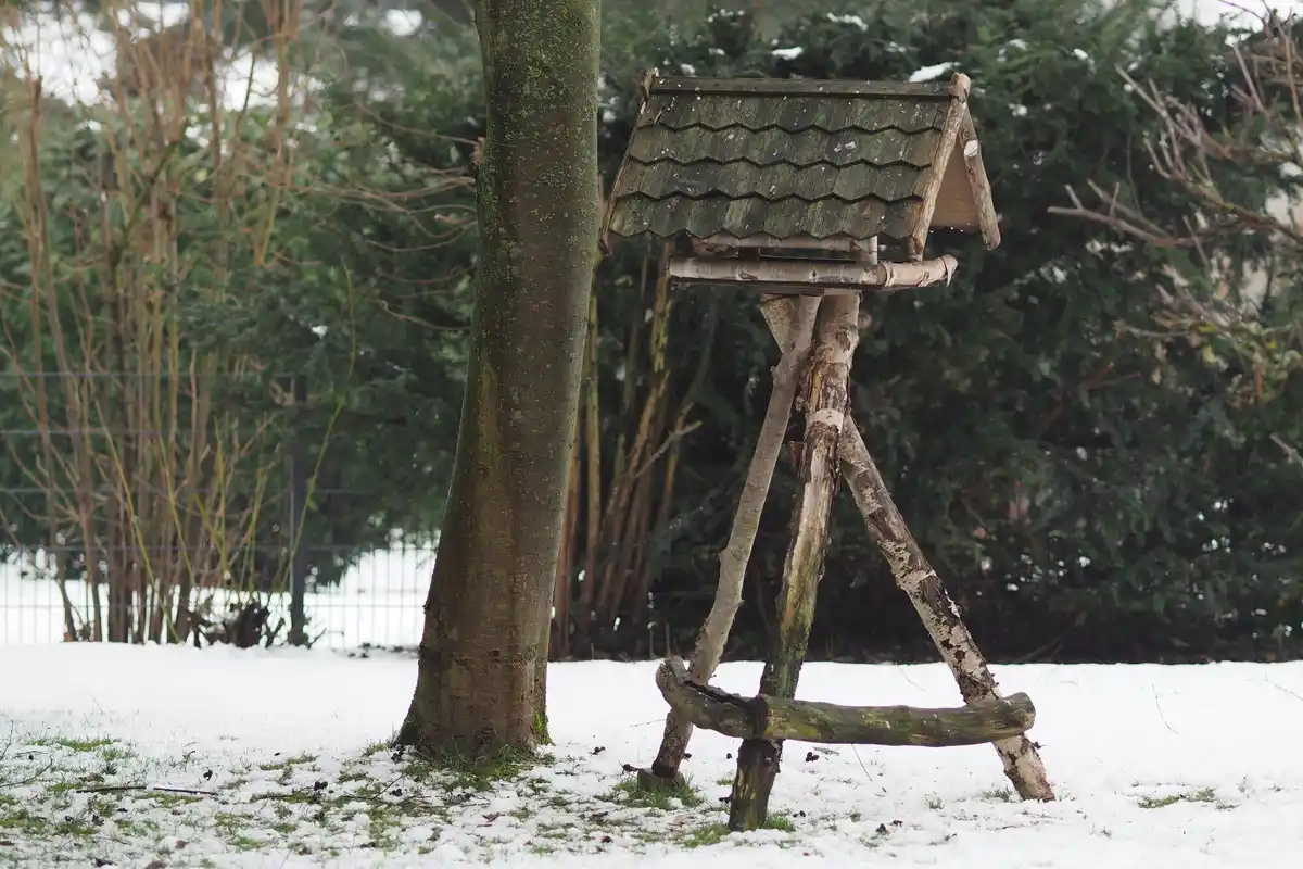rusty lawn mower in snow garden winter forgotten