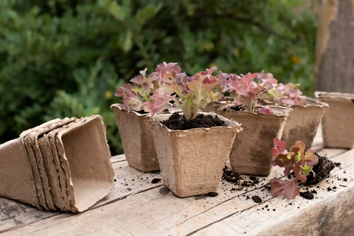 diy garden cold frame from old windows