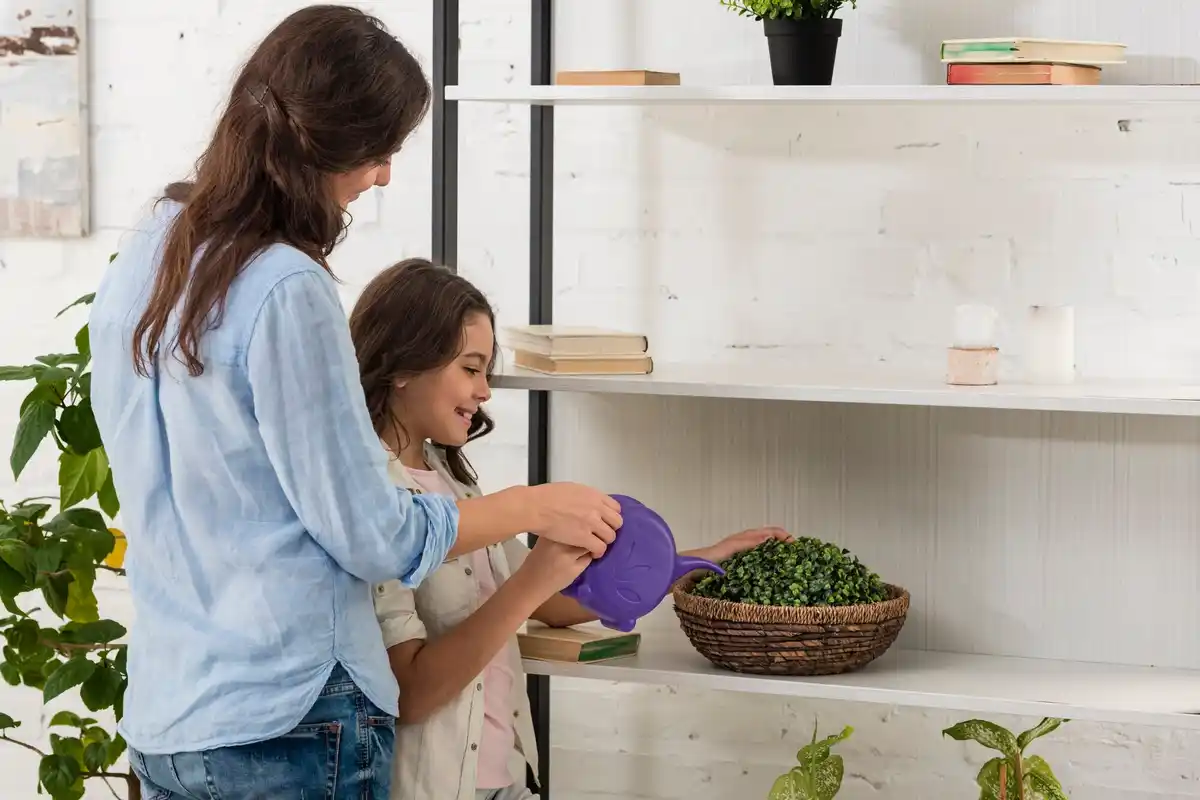 homemade orchid fertilizer banana skin chech family apartment